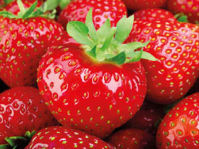 Strawberry. Fresh organic berries macro. Red background