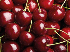 Cherry Background. Sweet organic cherries on market counter