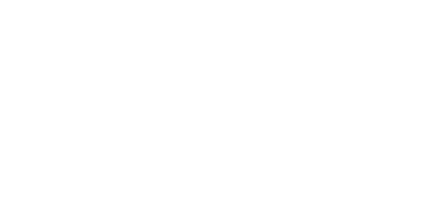 fourmis moustiques gu pes & frelons 