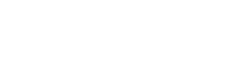 Une Famille Nombreuse Les rongeurs repr sentent 40 % des mammif res, ce qui en fait le groupe le plus diversifi ! 