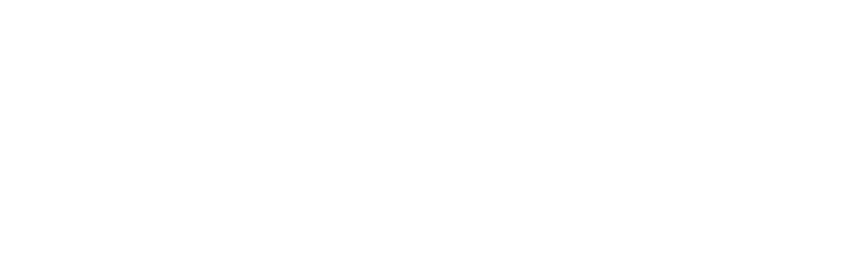 Des Survivants N s Les rongeurs sont extr mement adaptables : on les trouve partout, des d serts aux grandes villes. 