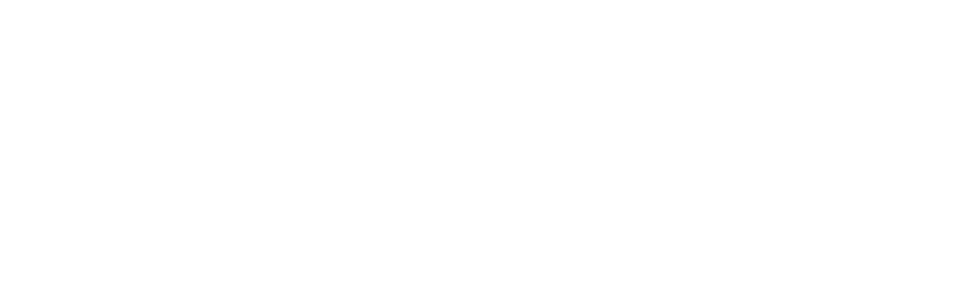 New York, le Royaume des Rats On estime qu’il y a autant de rats que d’habitants  New York… soit plus de 8 millions ! 
