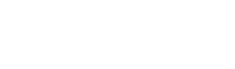 Des Dents qui ne s’Arr tent Jamais Les incisives des rongeurs poussent en continu et doivent tre us es en rongeant, ...