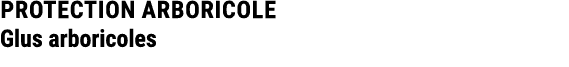 PROTECTION ARBORICOLE Glus arboricoles 