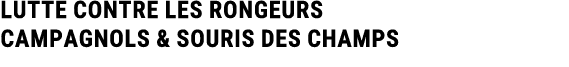 LUTTE CONTRE LES RONGEURS Campagnols & Souris des champs