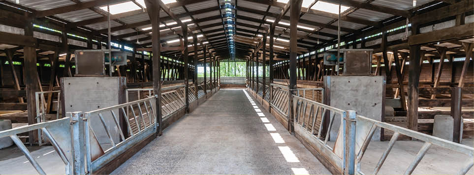 Inside a clean, empty cattle shed