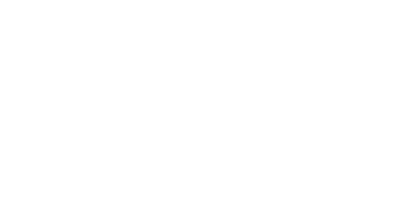 BOLUS 94 ALIMENTS COMPL MENTAIRES 100