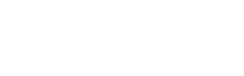 New York, le Royaume des Rats On estime qu’il y a autant de rats que d’habitants  New York… soit plus de 8 millions ! 