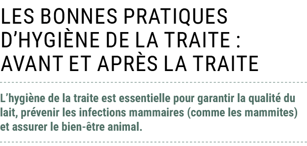 Les bonnes pratiques d’hygi ne de la traite : avant et apr s la traite L’hygi ne de la traite est essentielle pour ga...