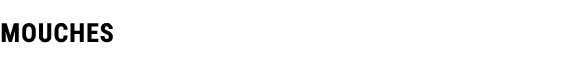 MOUCHES