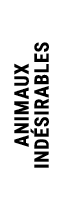 ANIMAUX IND SIRABLES