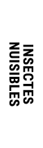 INSECTES NUISIBLES