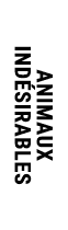 ANIMAUX IND SIRABLES