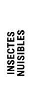 INSECTES NUISIBLES
