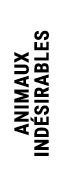 ANIMAUX IND SIRABLES