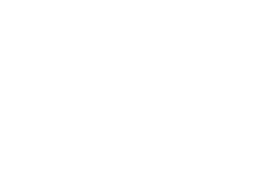 PURINS ET D COCTIONS 10 SAVONS NOIRS 12 BARRI RES PHYSIQUES 13 MONITORING 16