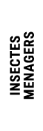 INSECTES MENAGERS