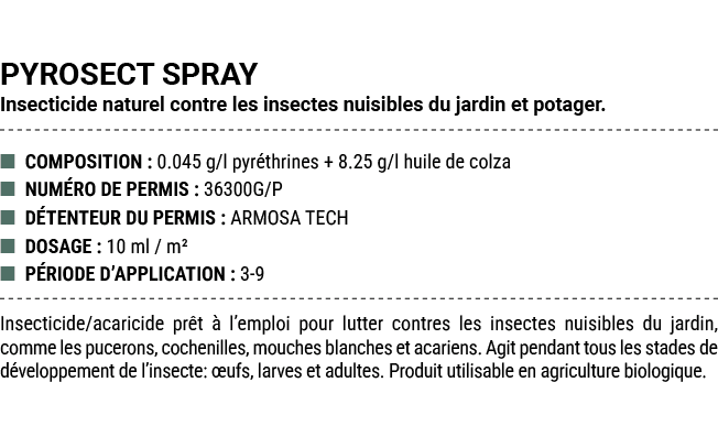 PYROSECT SPRAY Insecticide naturel contre les insectes nuisibles du jardin et potager. ■ COMPOSITION : 0.045 g/l pyr ...