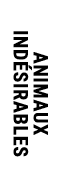 ANIMAUX IND SIRABLES