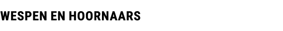 Wespen en Hoornaars
