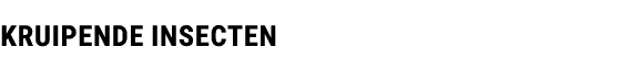 KRUIPENDE INSECTEN