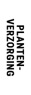 planten verzorging