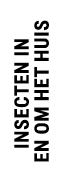 insecten in en om het huis