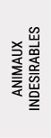 ANIMAUX INDESIRABLES