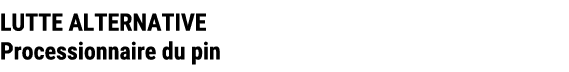 LUTTE ALTERNATIVE Processionnaire du pin