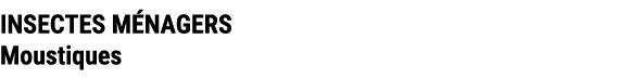 INSECTES M NAGERS Moustiques