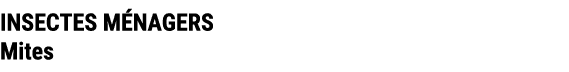 INSECTES M NAGERS Mites
