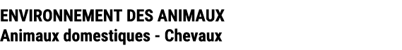 ENVIRONNEMENT DES ANIMAUX Animaux domestiques Chevaux