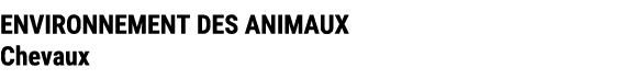 ENVIRONNEMENT DES ANIMAUX Chevaux