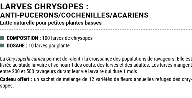 LARVES CHRYSOPES : ANTI PUCERONS/COCHENILLES/ACARIENS Lutte naturelle pour petites plantes basses ■ COMPOSITION : 100...
