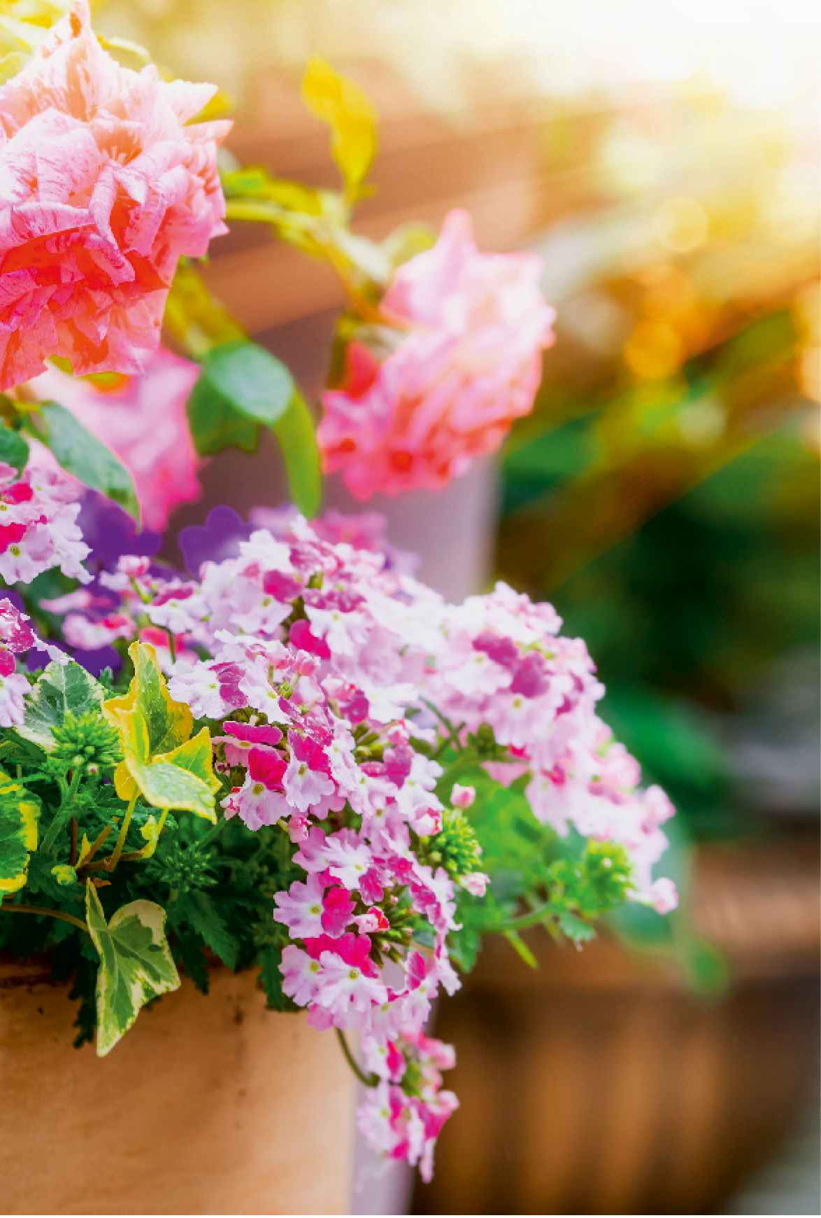 Beautiful patio flower pots on balcony in sunlight