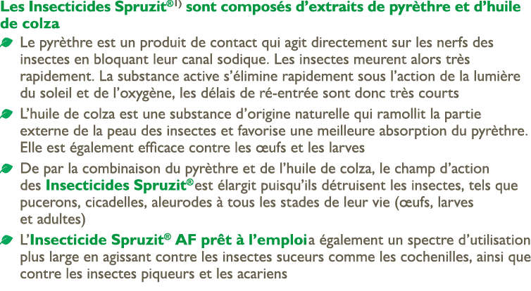 Les Insecticides Spruzit® 1) sont compos s d’extraits de pyr thre et d’huile de colza ￼ Le pyr thre est un produit de...
