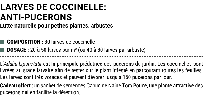 LARVES DE COCCINELLE: ANTI PUCERONS Lutte naturelle pour petites plantes, arbustes ■ COMPOSITION : 80 larves de cocci...