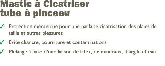 Mastic  Cicatriser tube   pinceau ￼ Protection m canique pour une parfaite cicatrisation des plaies de taille et aut...