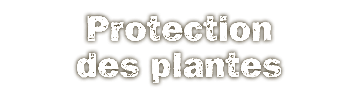 Protection des plantes
