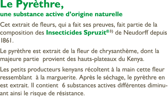 Le Pyr thre, une substance active d’origine naturelle Cet extrait de fleurs, qui a fait ses preuves, fait partie de l...