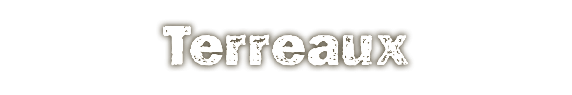 Terreaux
