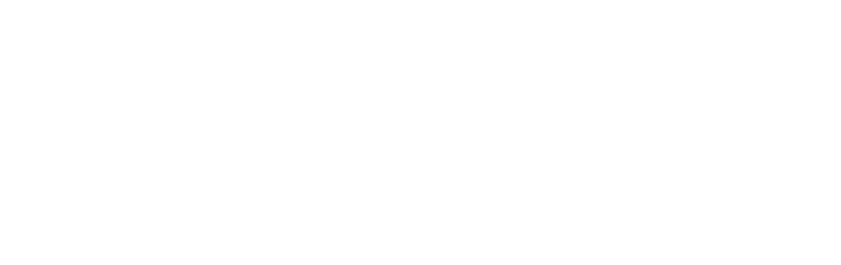 Une Famille Nombreuse Les rongeurs repr sentent 40 % des mammif res, ce qui en fait le groupe le plus diversifi !