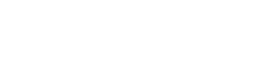 Des Survivants N s Les rongeurs sont extr mement adaptables : on les trouve partout, des d serts aux grandes villes. 