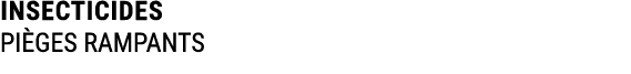 INSECTICIDES PI GES RAMPANTS