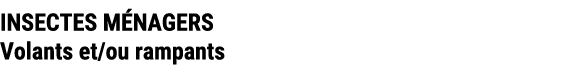 INSECTES M NAGERS Volants et/ou rampants