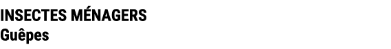 INSECTES M NAGERS Gu pes