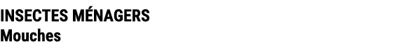 INSECTES M NAGERS Mouches