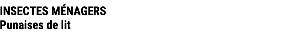 INSECTES M NAGERS Punaises de lit
