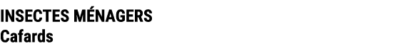 INSECTES M NAGERS Cafards