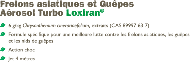 Frelons asiatiques et Gu pes A rosol Turbo Loxiran® ￼ 6 g/kg Chrysanthemum cinerariaefolium, extraits (CAS 89997 63 7...